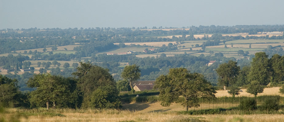 Bocage du Pays de Tronçais