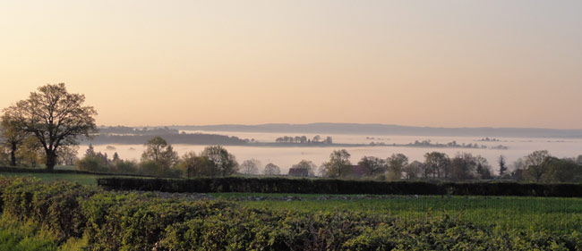 Bocage au levé du jour