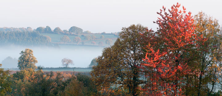 Vue sur le bocage