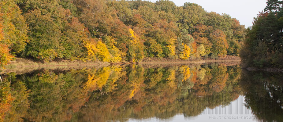 Automne à l'étang de Saloup