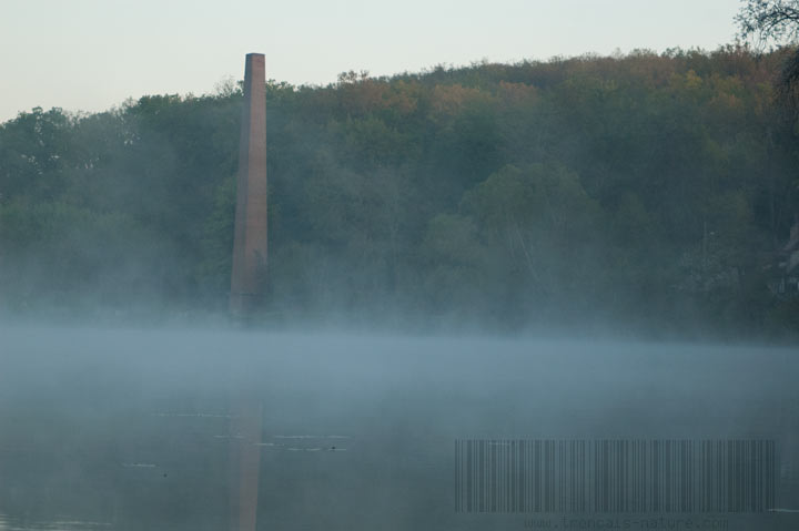 Vue sur la cheminée de St Bonnet Tronçais