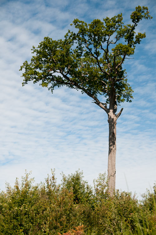 Le Tire et Aire