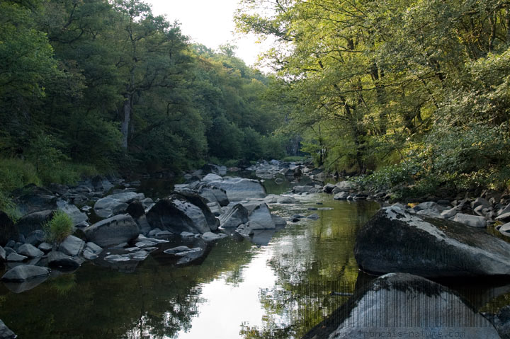 Vallée de l'Aumance proche de Meaulne